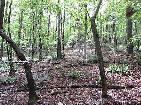 4th image of 6700 Cass Holt Rd