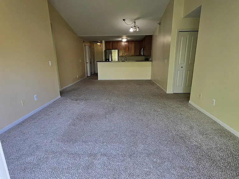 3215 Goldeneye Ln — Photo 10