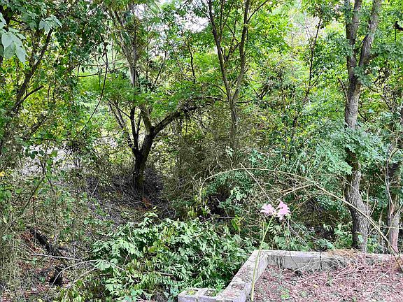 3rd image of 294 Ledgerock Rd