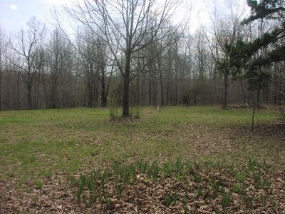N/a Wilson Road Nc #8379, Jasper, AR, 72641