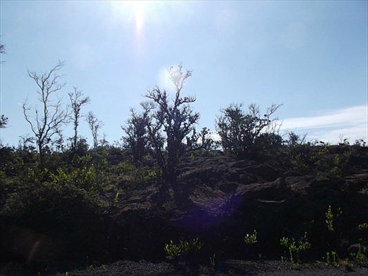 4th image of Pineapple Pkwy Lot 17