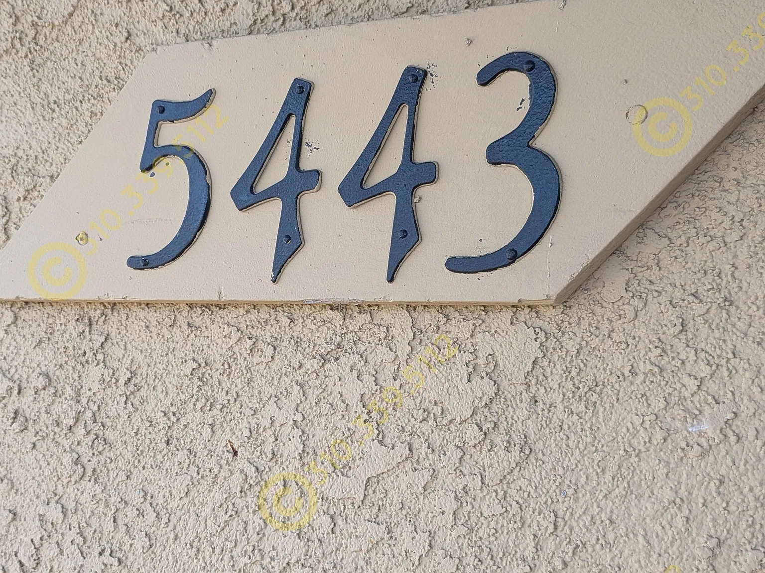 2 bed, 800 sqft, $1,800 — Photo 4
