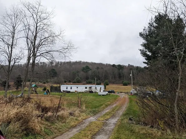 2106 Eleven Mile Rd, Shinglehouse, PA 16748