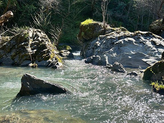 3rd image of 1651 Low Gap Road