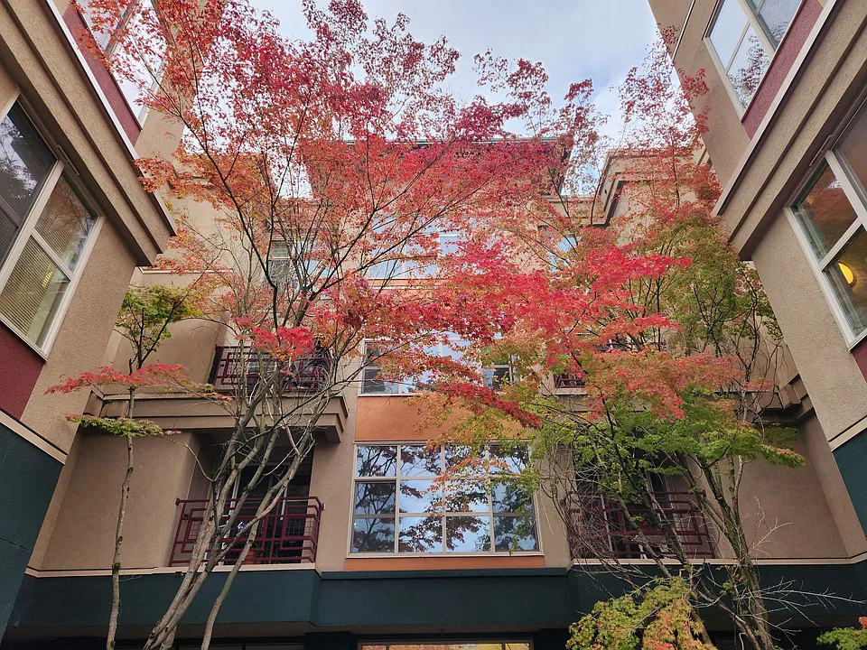 Newell Court Apartments, downtown Mercer Island