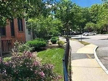 18 Juniper St #49