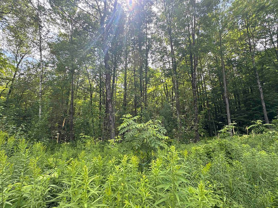 2nd image of 95 Barrywilde Road