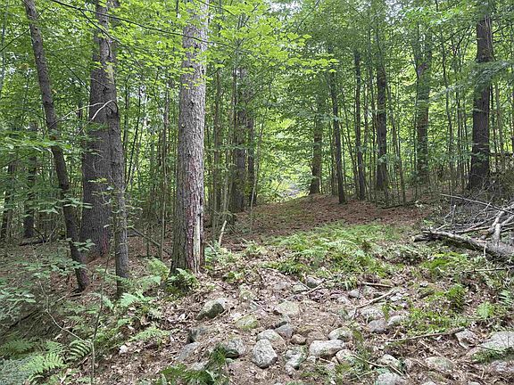 5th image of 190 Circuit Road