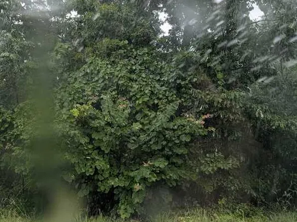Duns Ln #6, Bella Vista, AR 72715