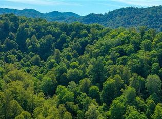 9999 New View Dr, Burnsville, NC 28714