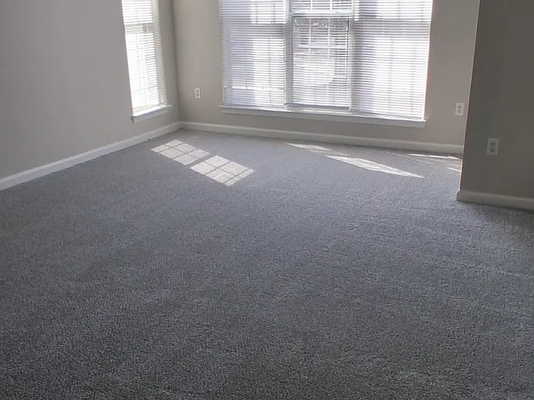Thorne Ridge I — Photo 5