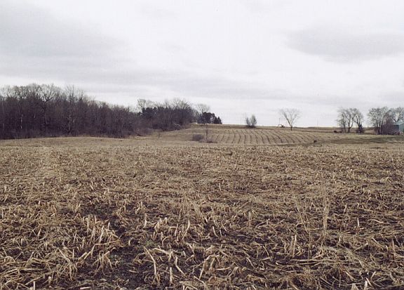 4th image of Xxx Pine Avenue
