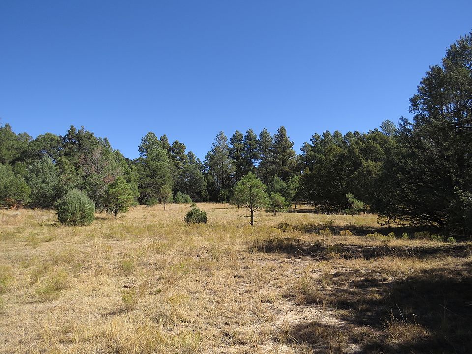 1st image of 34001 Turkey Creek Ln
