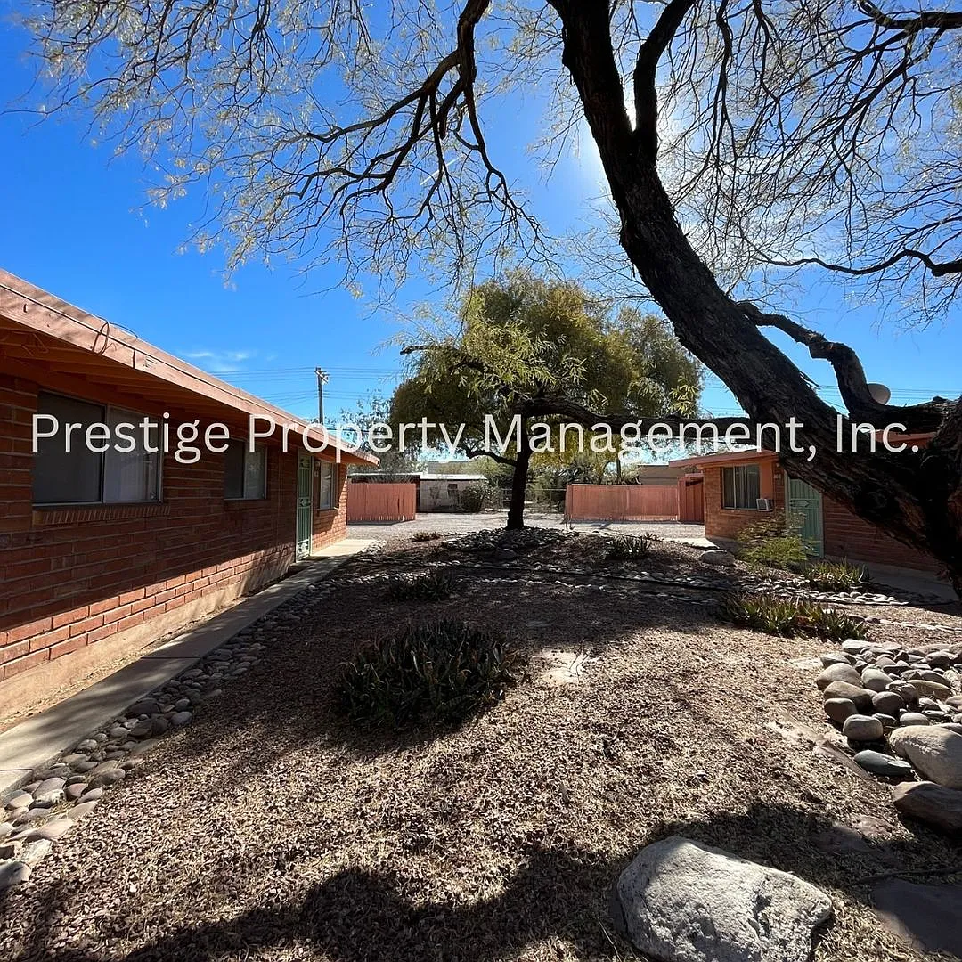 2133 — Photo 2