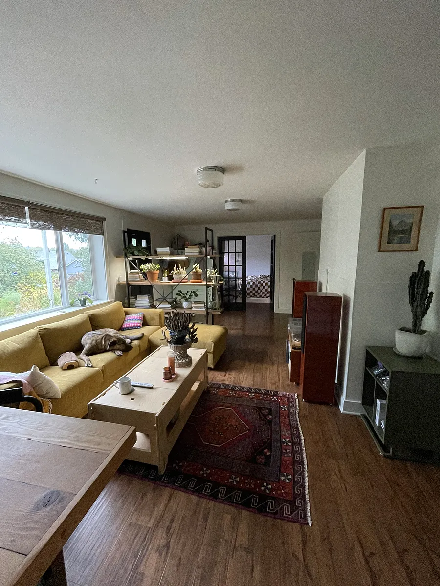 living room from kitchen - 1029 S Director St #2
