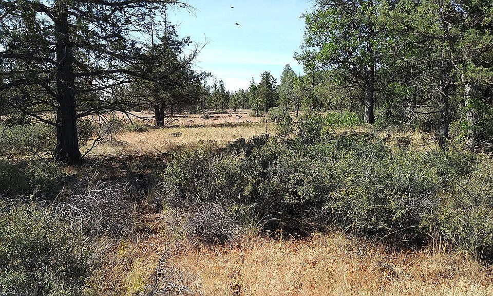 1st image of 23553 Mountain Wood Ln