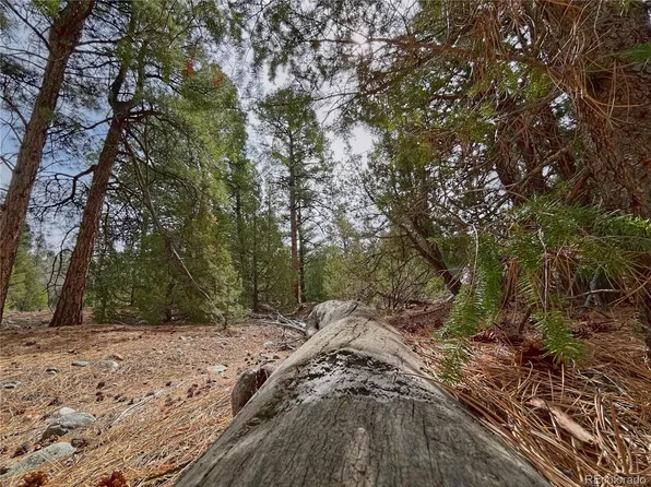 54 & 56 Big Bear Road, Mosca, CO 81146