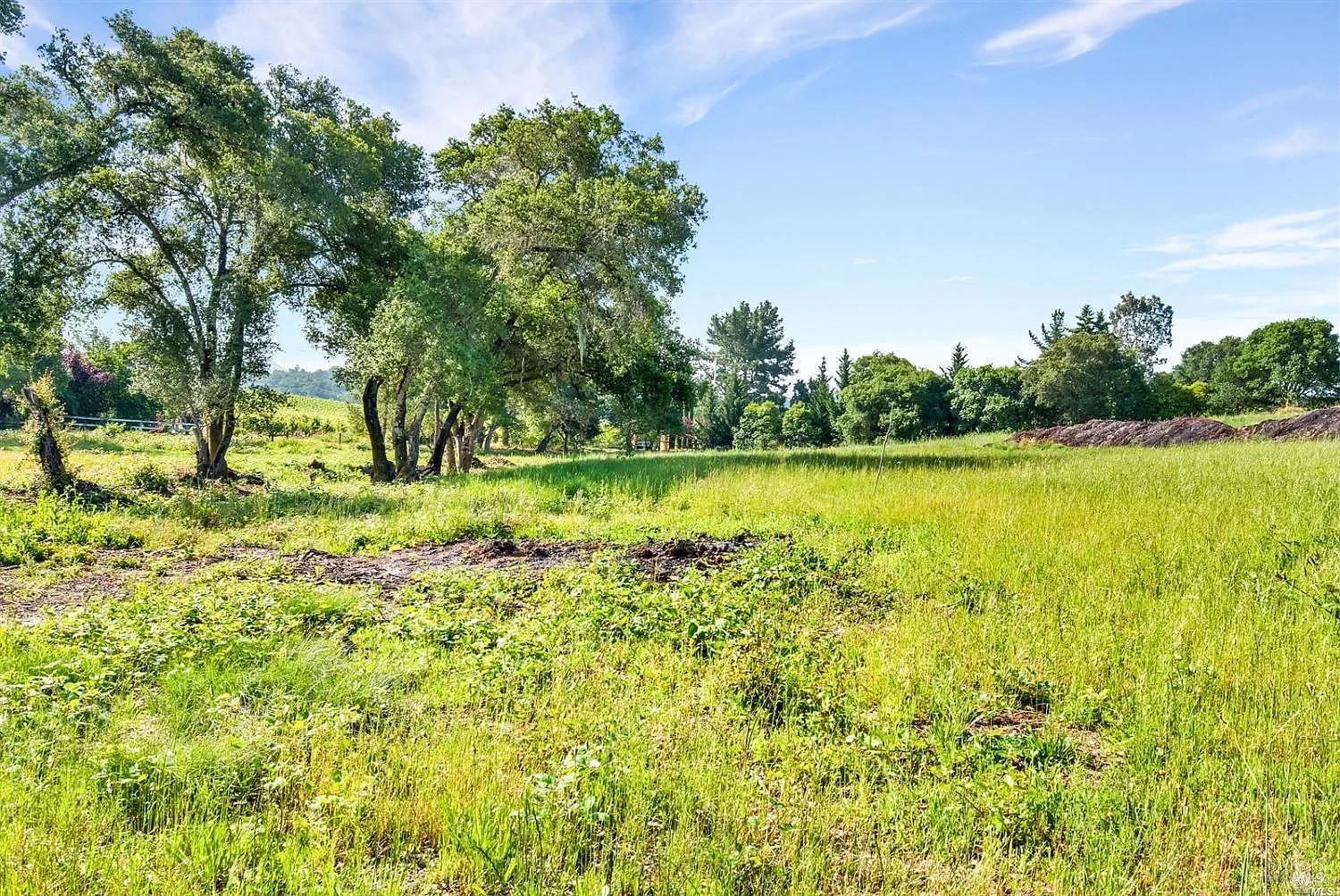 1100 Lytton Springs Road - Photo 8