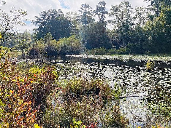 No Flood Insurance  needed 