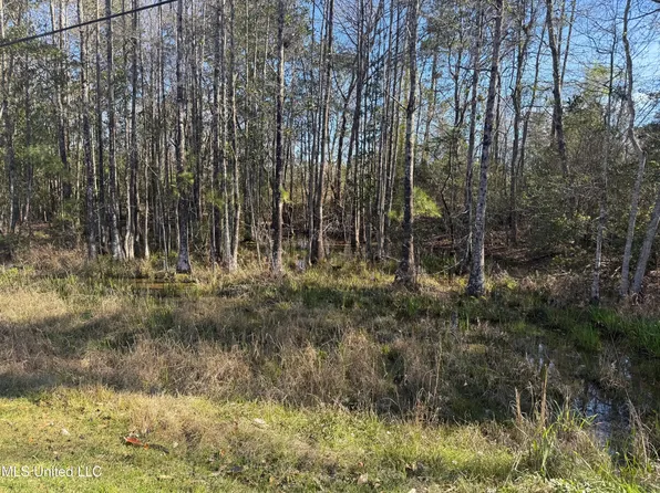 Pokai St Lot 61, Diamondhead, MS 39525