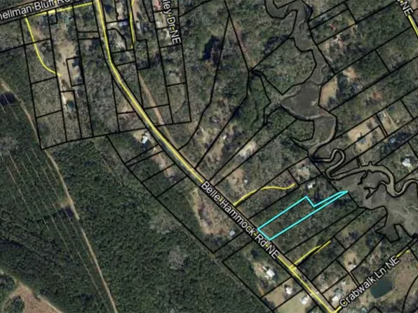 3558 Belle Hammock Rd NE, Townsend, GA 31331