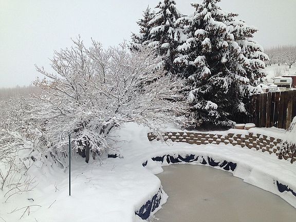 Pool in winter.