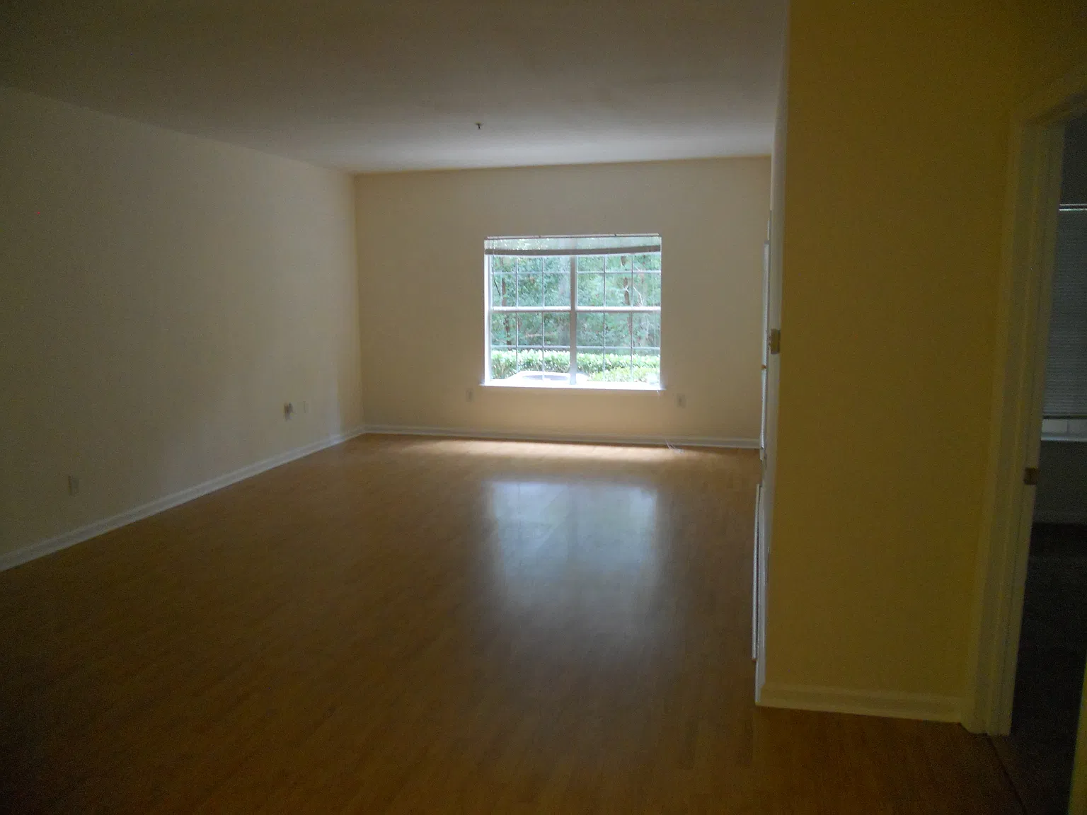 1 bed, 801 sqft, $1,625 — Photo 4