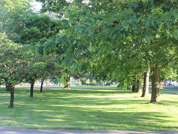 Park across the street