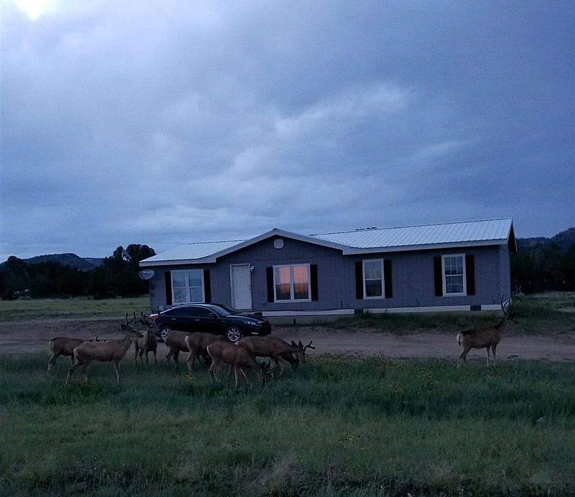 2nd image of 267 Lambert Hills Blvd