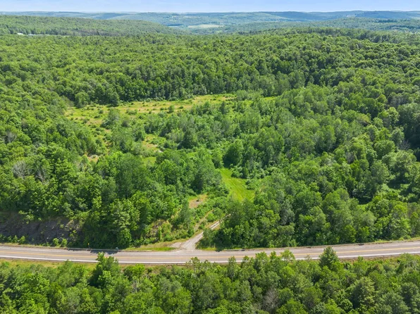 3492-3494 State Route 206, Whitney Pt, NY 13862