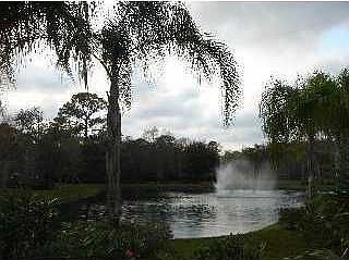 pond