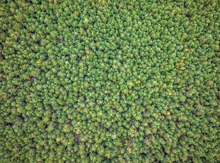 LOT 8 Creek Landing Rd, Nichols, SC 29581