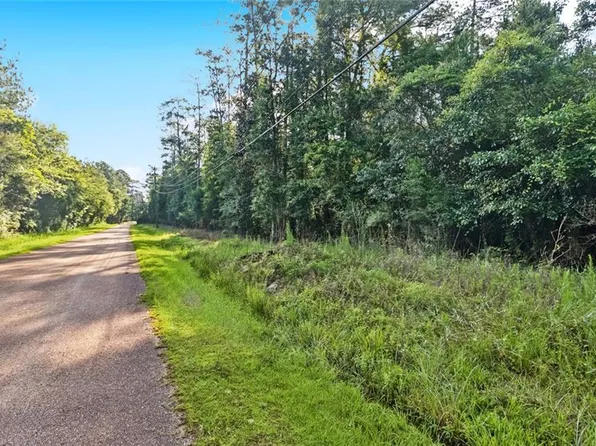 0 Philebar Rd, Folsom, LA 70437