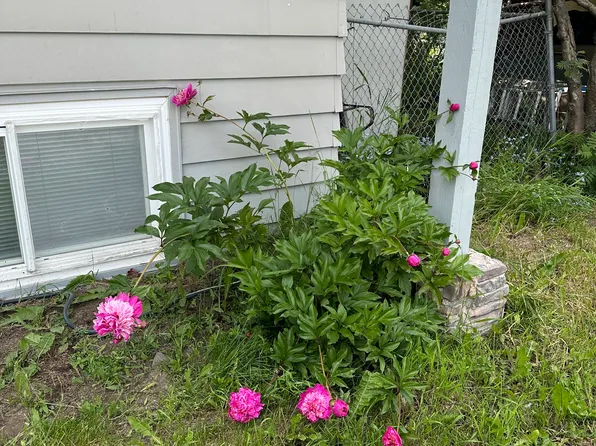 (undisclosed Address), Anchorage, AK 99518