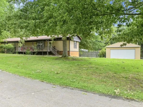 225 Pineview Dr, Springville, TN 38256