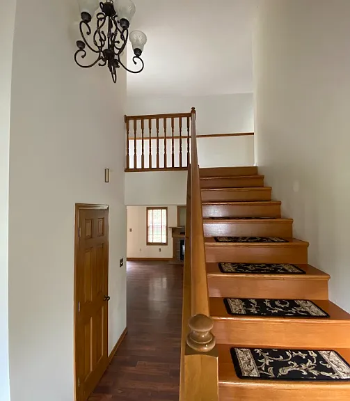 3703 Lupine Dr — Photo 2