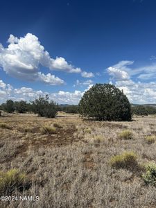 3101 W Yukon Dr #671, Williams, AZ, 86046