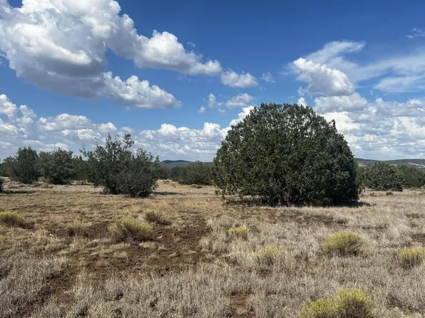 3101 W Yukon Dr #671, Williams, AZ 86046