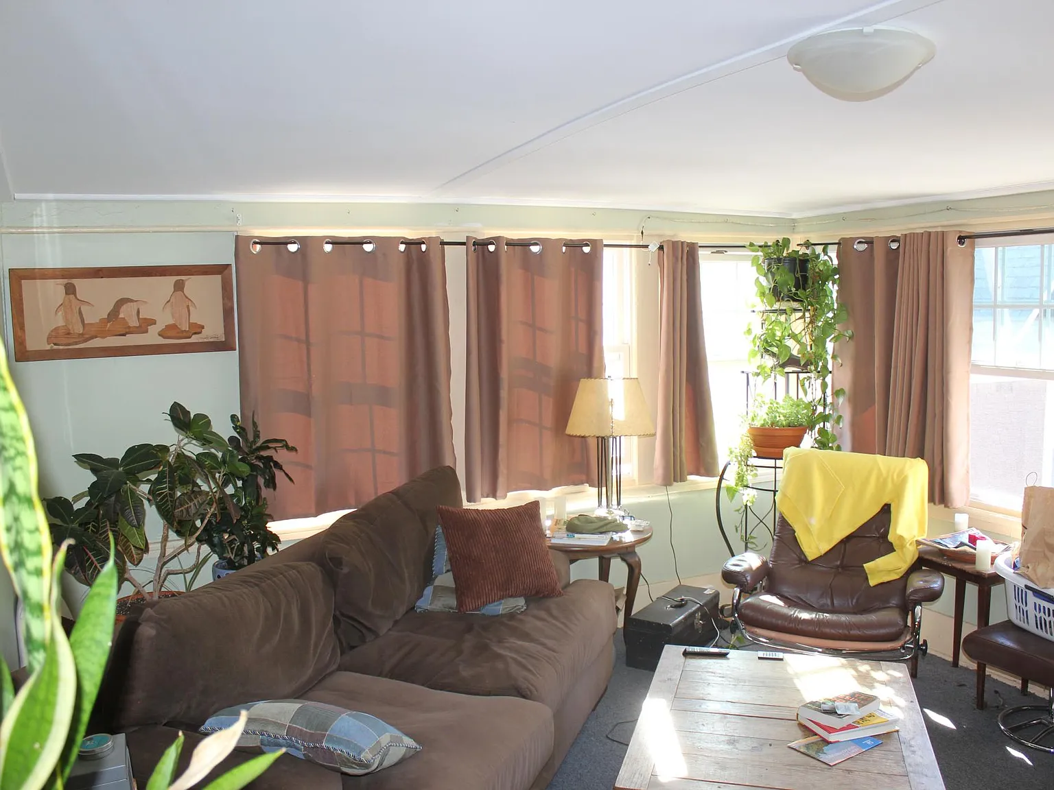 1 bed, 550 sqft, $1,995 — Photo 4
