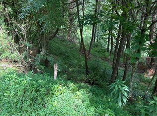 9 Laurelwood Ln, Mountain City, TN 37683