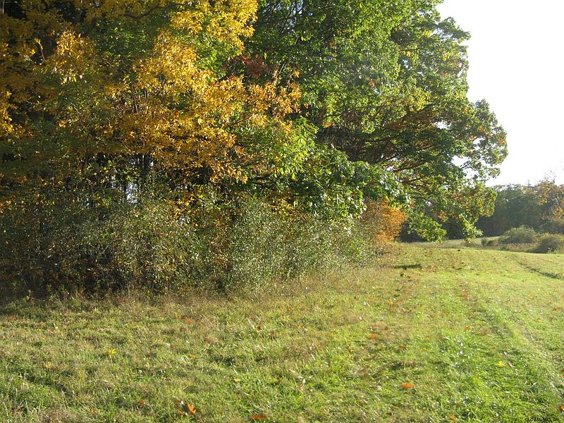 4th image of 0 FONT GROVE Road