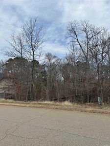 5010 Boulder Point Dr, Alexander, AR, 72002