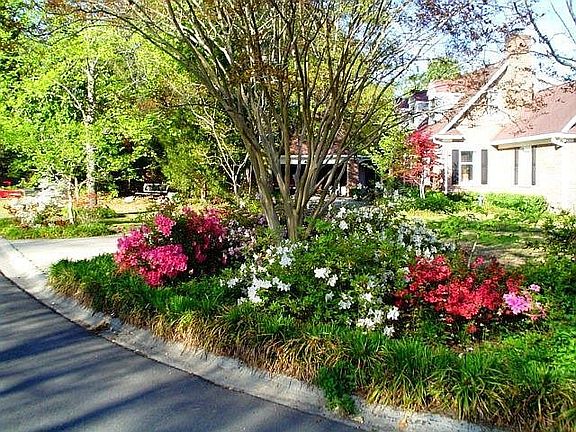 Front Yard in Spring