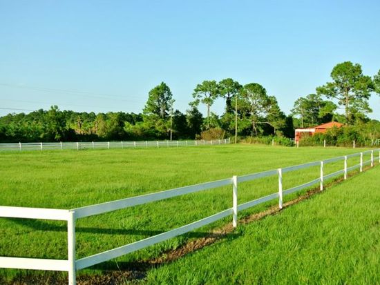 saddle creek farms goldens