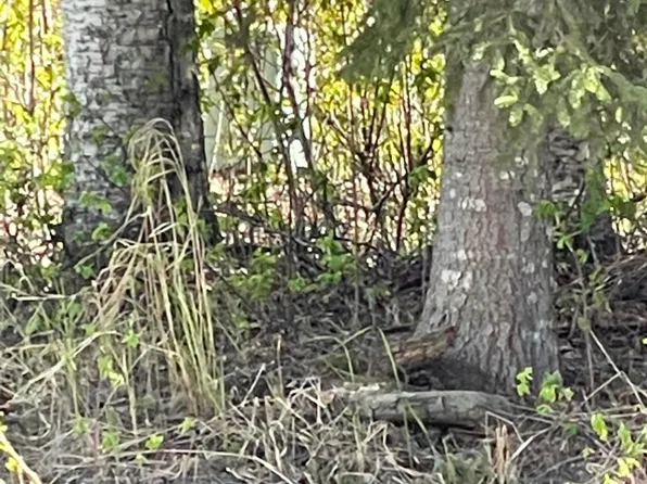 Coo5 Admundsen Trl, Willow, AK 99688