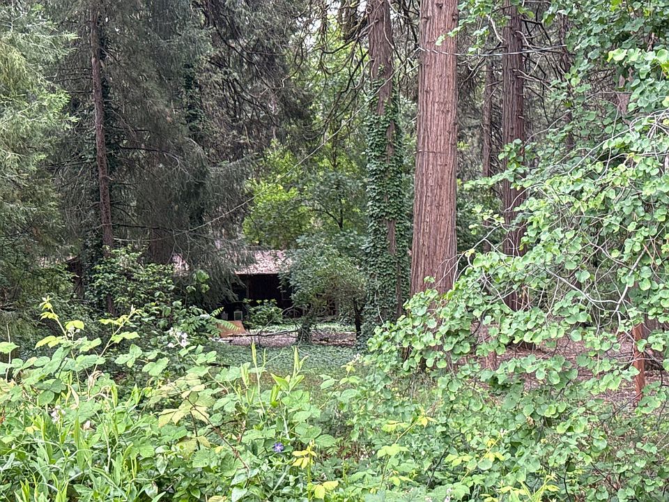 2nd image of 14560 Nimshew Rd