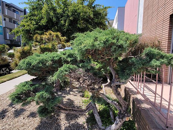 3rd image of 1422 Barry Ave #4