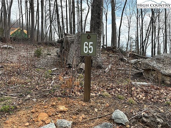 4th image of TBD Angelfire Trail