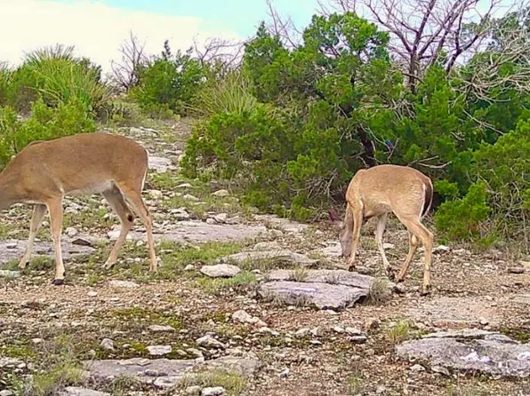 0 Flint Rock Trl #6, Del Rio, TX 78840