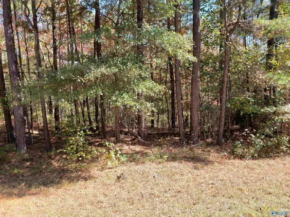 5576 County Road 97, Clanton, AL 35046